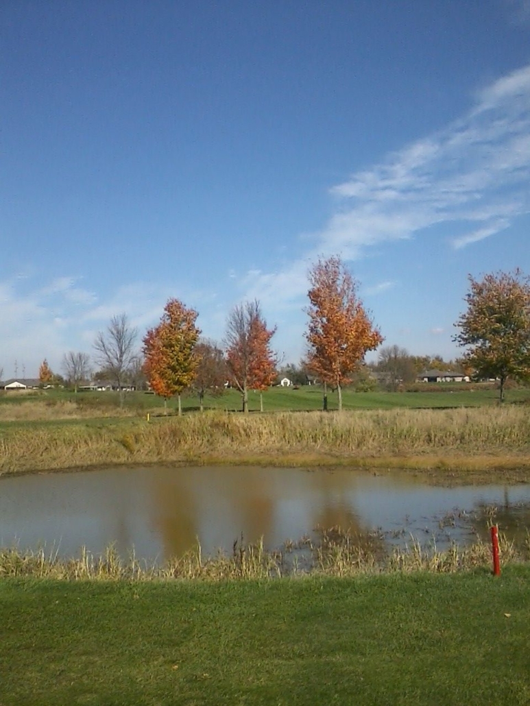 Tournaments The Amery